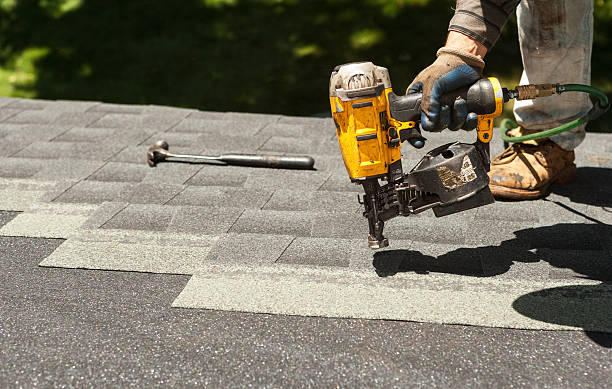 Best Roof Gutter Cleaning  in North Kingsville, OH