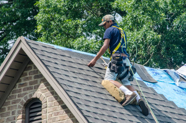 Best Storm Damage Roof Repair  in North Kingsville, OH